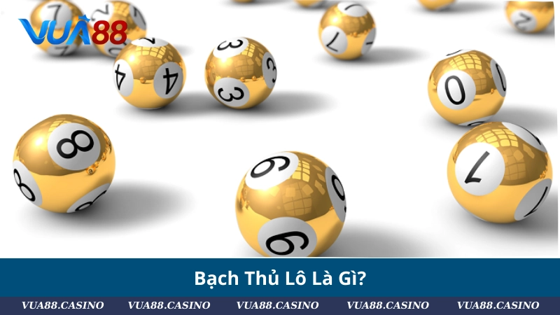 Bạch Thủ Lô Là Gì? Cách Nuôi, Soi Cầu, Chốt Số Chuẩn Bạch Thủ Lô Là Gì?