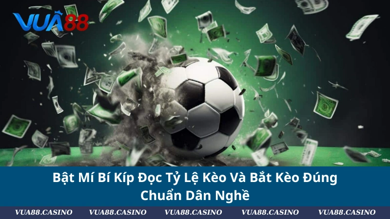 Bật Mí Bí Kíp Đọc Tỷ Lệ Kèo Và Bắt Kèo Đúng Chuẩn Dân Nghề