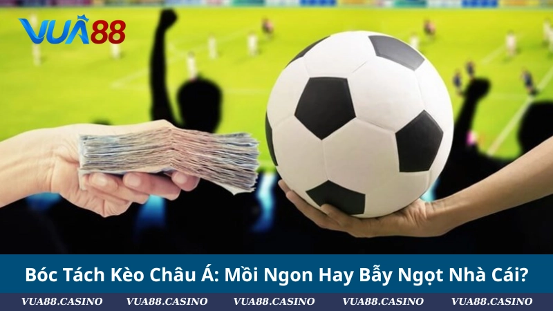 Bóc Tách Kèo Châu Á: Mồi Ngon Hay Bẫy Ngọt Nhà Cái