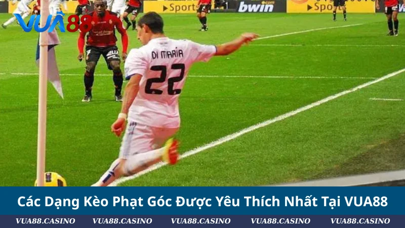 Kèo Phạt Góc Là Gì? Cập Nhật Mẹo Soi Kèo Phạt Góc Chuẩn 2025 Các Dạng Kèo Phạt Góc Được Yêu Thích Nhất Tại VUA88