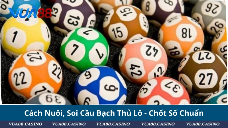 Cách Nuôi, Soi Cầu Bạch Thủ Lô - Chốt Số Chuẩn