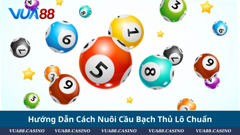 Bạch Thủ Lô Là Gì? Cách Nuôi, Soi Cầu, Chốt Số Chuẩn Hướng Dẫn Cách Nuôi Cầu Bạch Thủ Lô Chuẩn