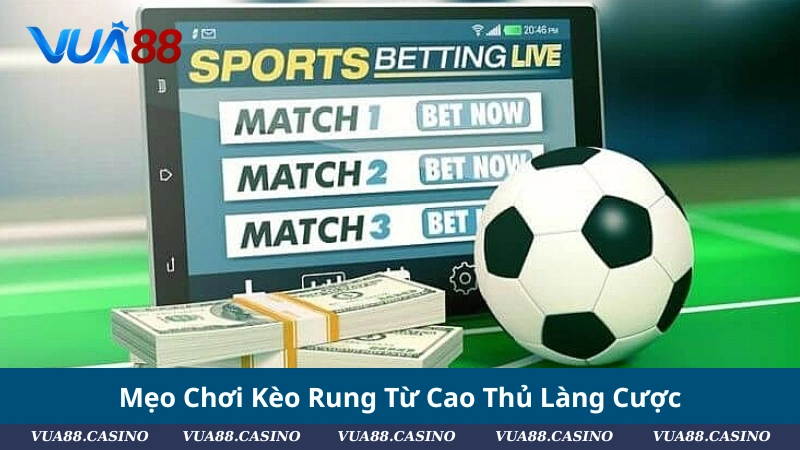 Kèo Rung Bóng Đá: Hướng Dẫn A–Z Cho Tân Bet Thủ Mẹo Chơi Kèo Rung Từ Cao Thủ Làng Cược