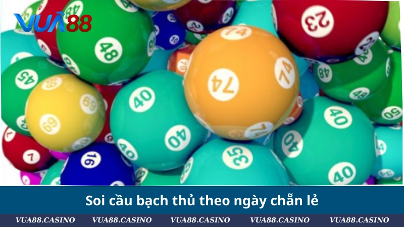 Bạch Thủ Lô Là Gì? Cách Nuôi, Soi Cầu, Chốt Số Chuẩn Soi cầu bạch thủ theo ngày chẵn lẻ