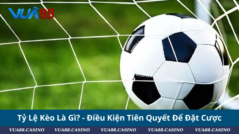Tỷ Lệ Kèo Là Gì? - Điều Kiện Tiên Quyết Để Đặt Cược
