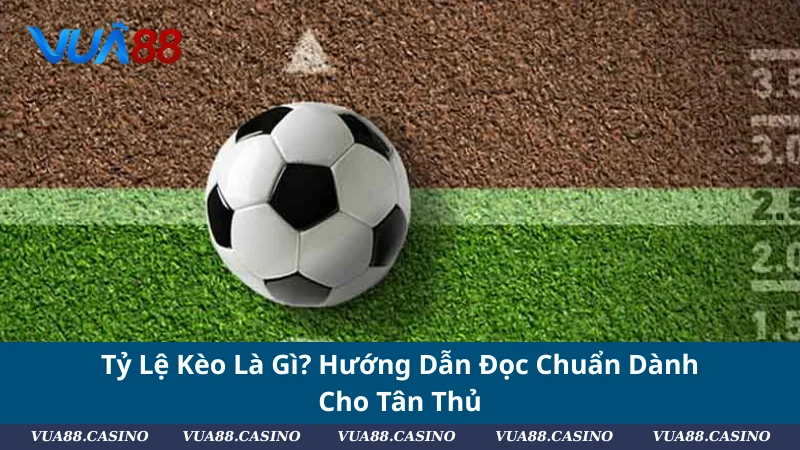 Tỷ Lệ Kèo Là Gì? Hướng Dẫn Đọc Chuẩn Dành Cho Tân Thủ